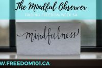 mindful-observer